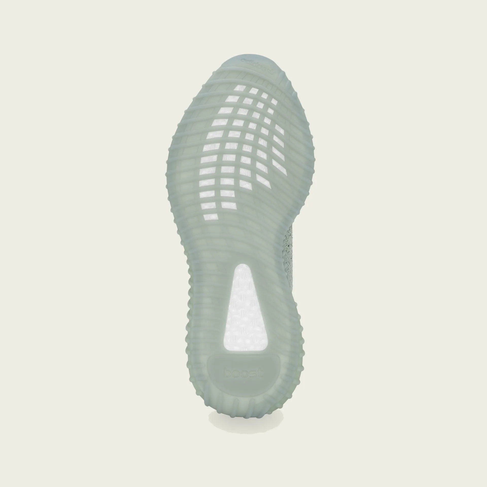 Adidas | YEEZY BOOST 350 V2  { SALT/CORE BLACK/SALT