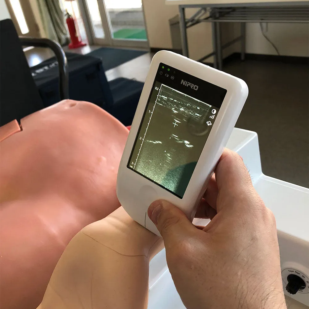 Arterial Puncture Wrist Training Model