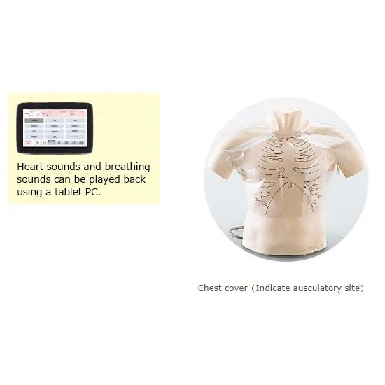 Auscultation Simulator II