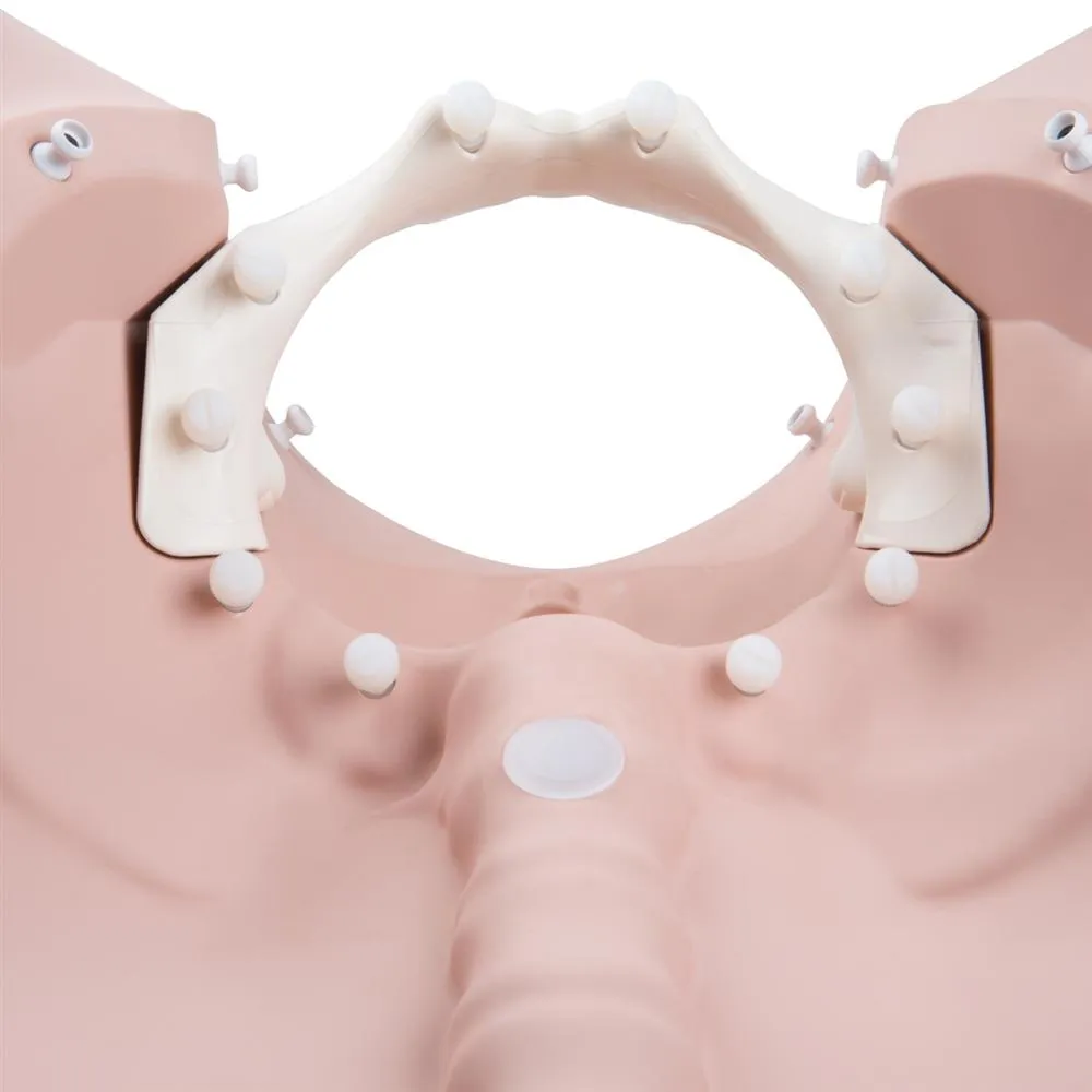 Birthing Stages Trainer
