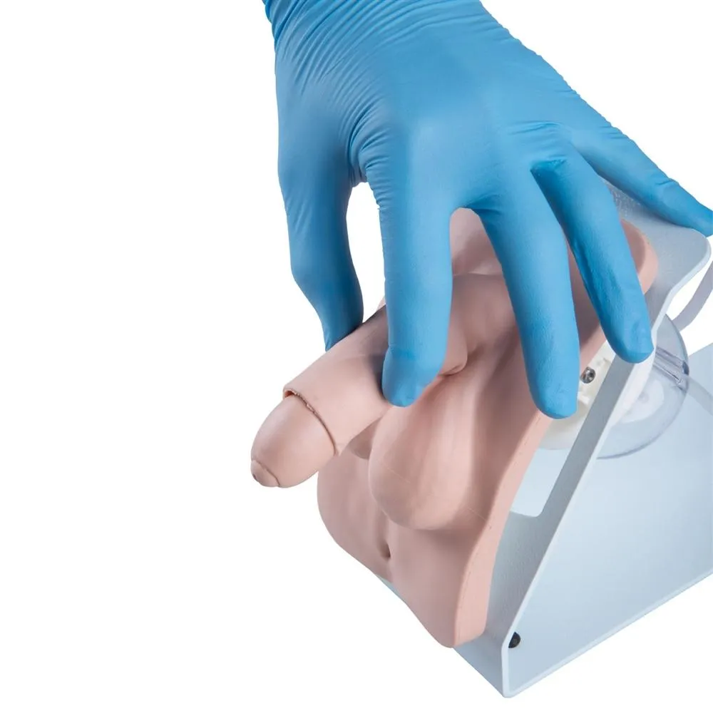 Catheterization Simulator, Basic Male, Light Skin