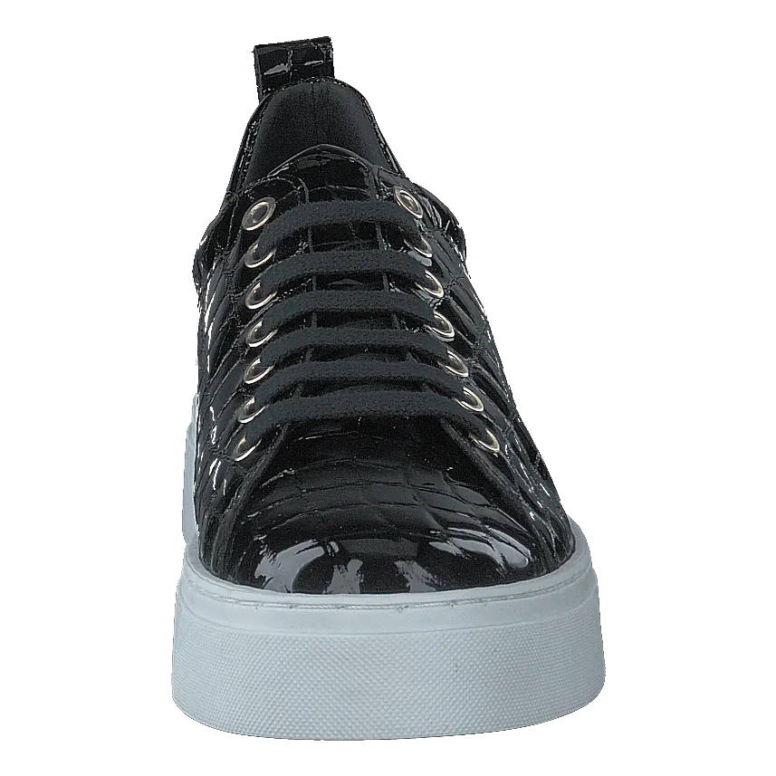 Coacig Blanco Boston Zafiro Negro