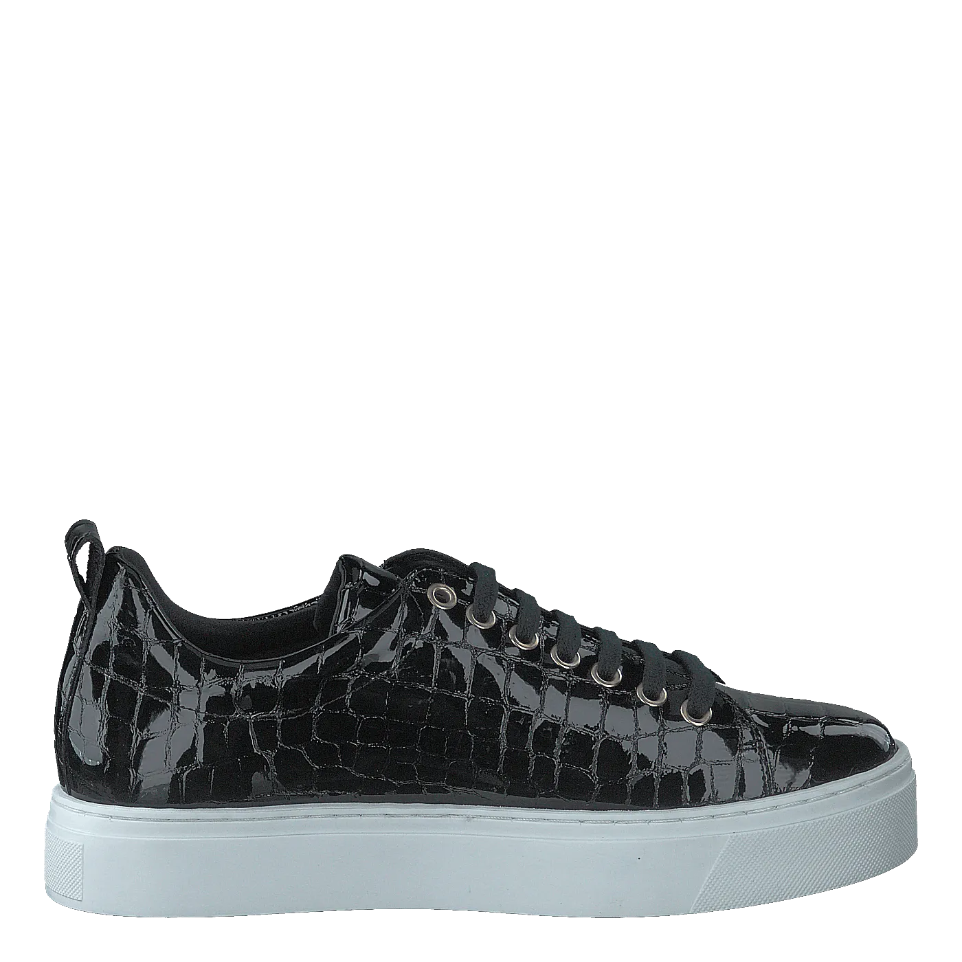 Coacig Blanco Boston Zafiro Negro