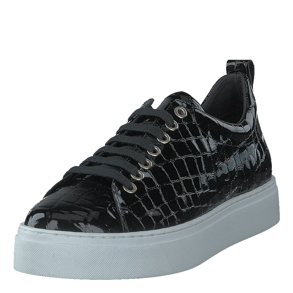 Coacig Blanco Boston Zafiro Negro