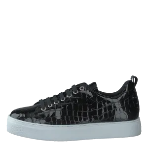 Coacig Blanco Boston Zafiro Negro
