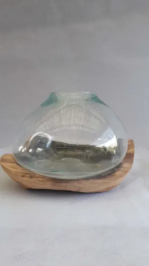 Fish Bowl In Drift Wood