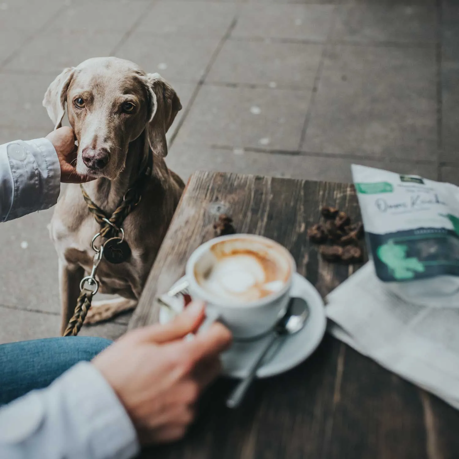 Hundesnack Lifestyle