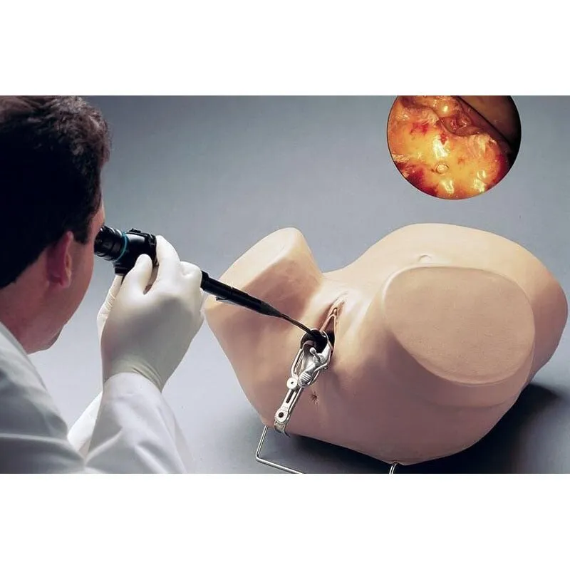Hysteroscopy Simulator, Dark