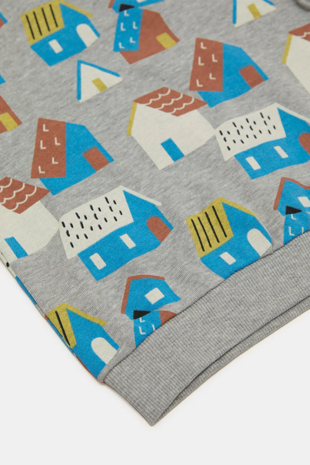 Infant Boys Grey Printed Sweatshirt
