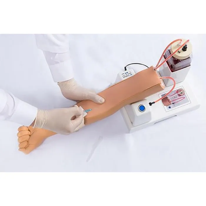 Intravenous Injection Training Arm Model  2 - Adult
