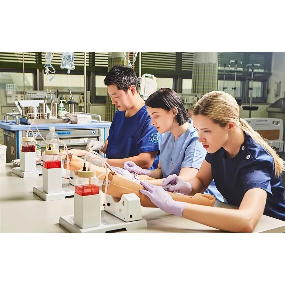 Intravenous Injection Training Arm Model  2 - Adult