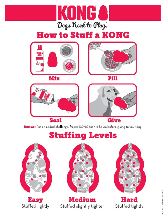 KONG Classic Dog Toy