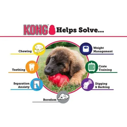 KONG Puppy Chew Toy Small