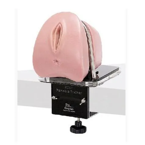 Portable Hysteroscopy and Resectoscopy Surgical Simulator