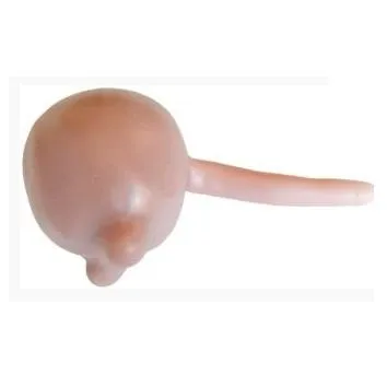Portable Hysteroscopy and Resectoscopy Surgical Simulator