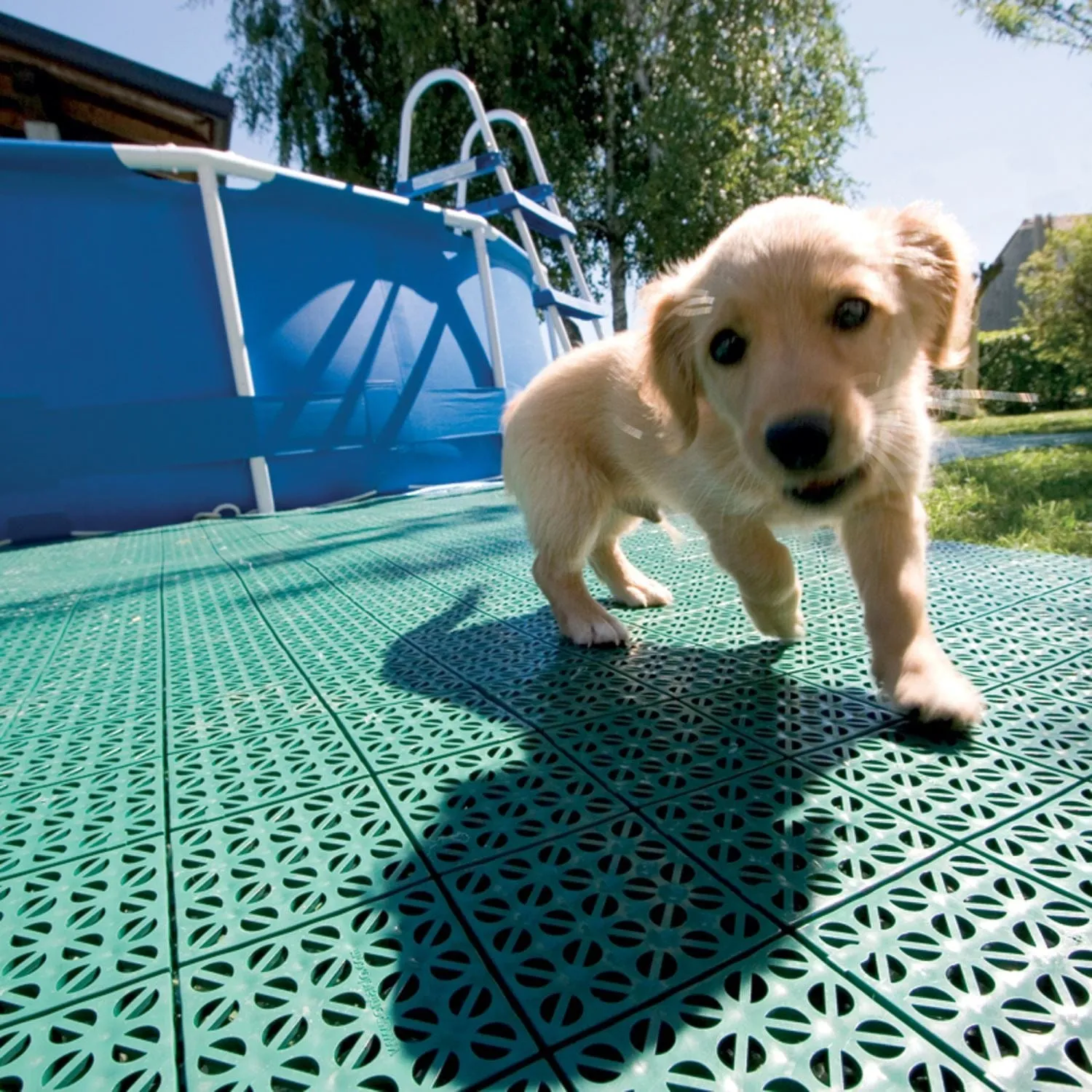 Riverstone | MONT 20' Greenhouse Interlocking Flooring System - 54 Tiles Kit