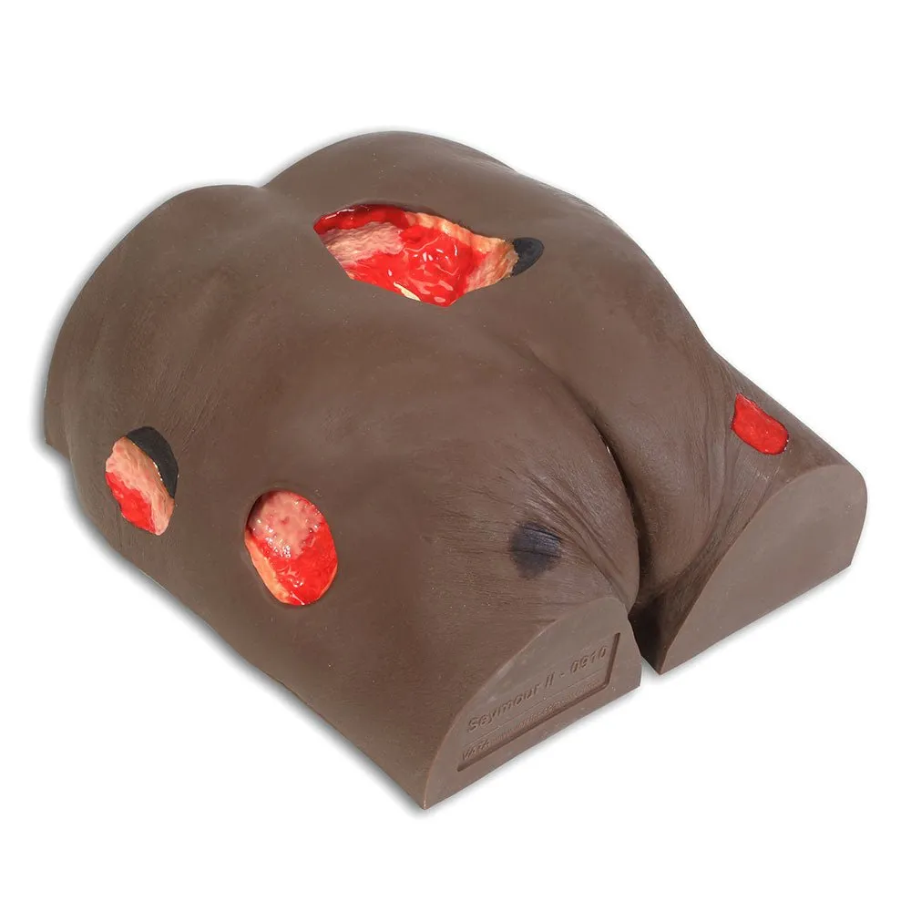 Seymour II - Wound Care Model, Dark