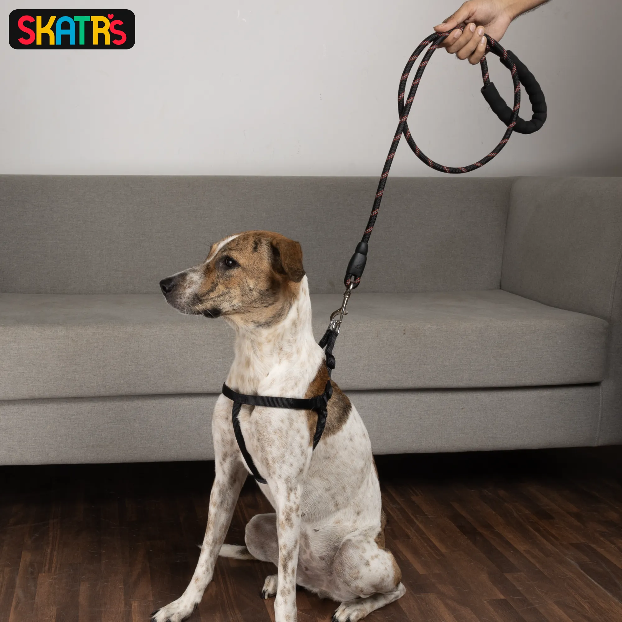 Skatrs Reflective Nylon Rope Leash for Dogs (Black/Red)
