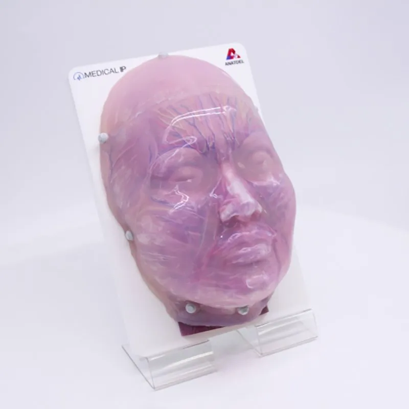 Toxin & Filler Injection Simulator, For Surgical Training