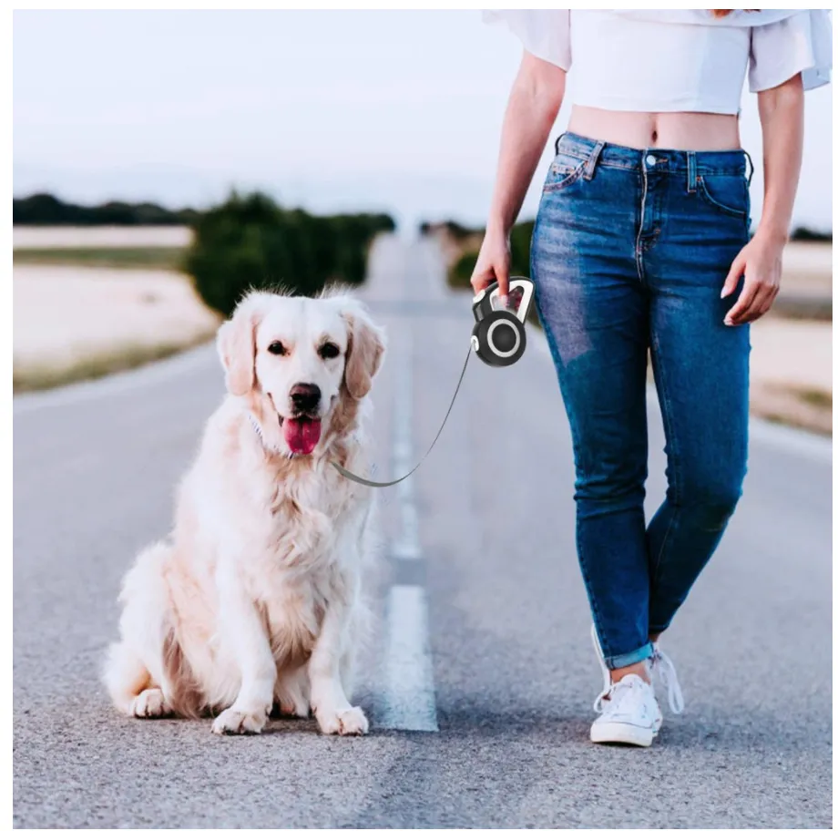 UPSKY Dog/Cat Retractable Leash