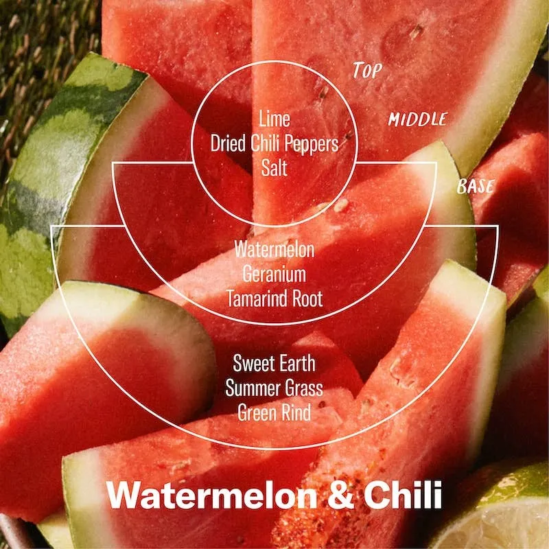 Watermelon & Chili - Standard Candle