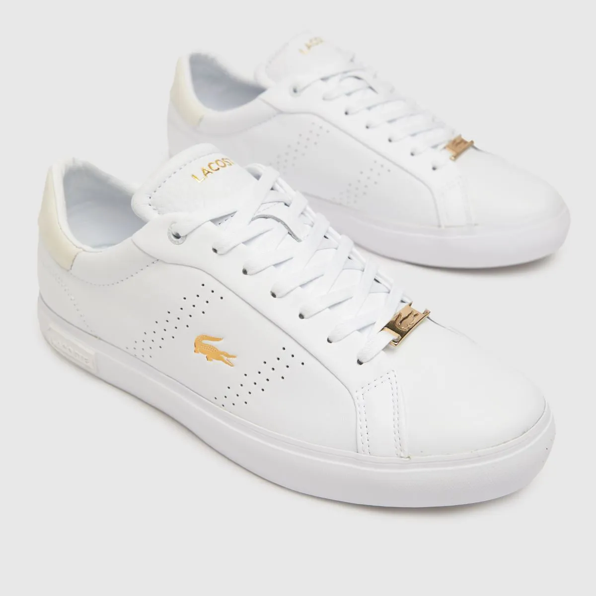 Womens Powercourt 1122 - White/Gold