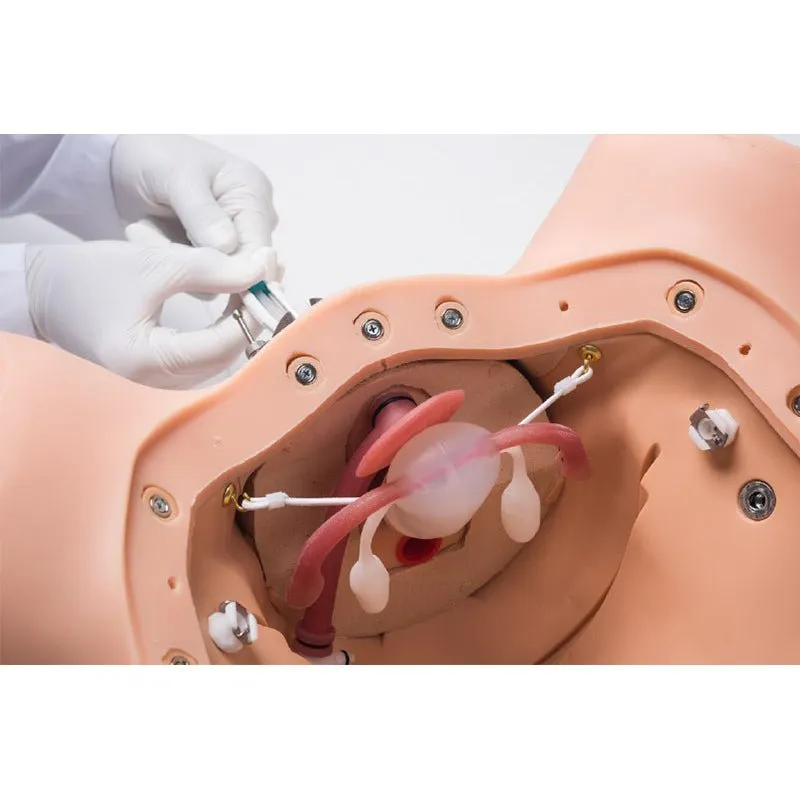 ZOE® Gynecologic Skills Trainer, Light