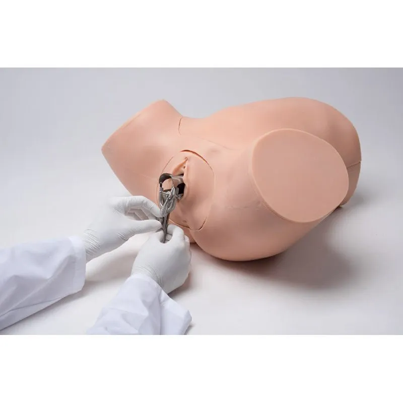 ZOE® Gynecologic Skills Trainer, Light
